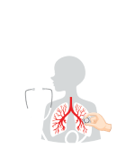 International Conference on Advanced Pulmonology, Respiratory Medicine & Lung Health
